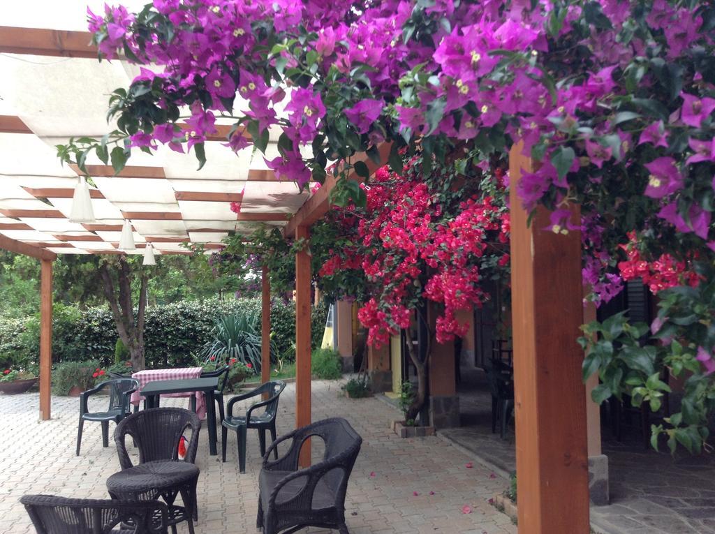 Agriturismo Santo Stefano 卡萨尔博迪诺 外观 照片