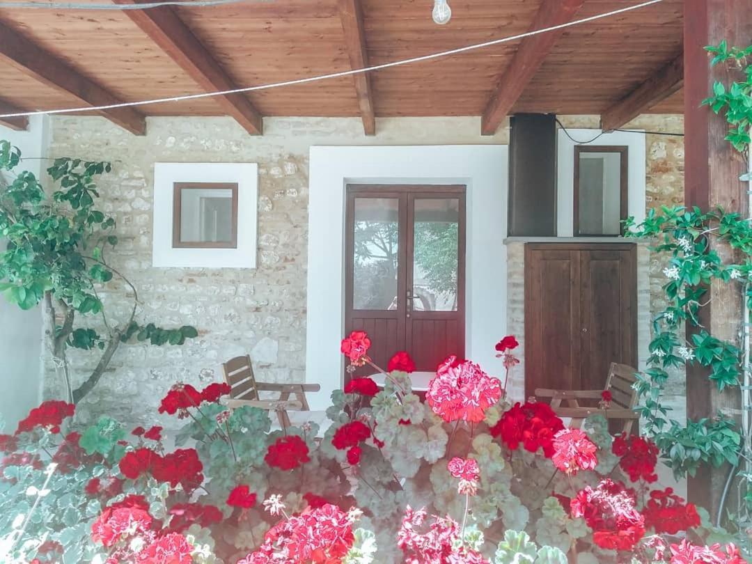 Agriturismo Santo Stefano 卡萨尔博迪诺 外观 照片